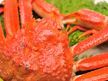 かに高速バス 大阪⇔ 琴引･夕日ヶ浦･小天橋