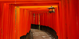 伏見稲荷大社・清水寺・金閣寺・嵐山