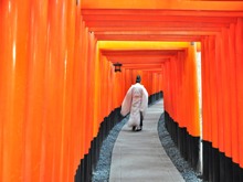 京都観光・名所巡りツアー